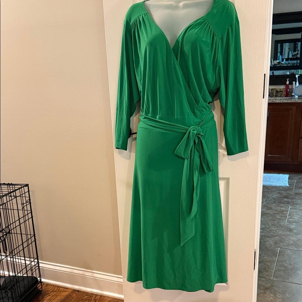 Igigi Vibrant Green Long Sleeve Dress